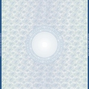 Security Paper