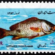 Postage stamps (special die)