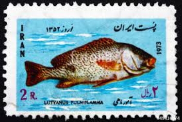 Postage stamps (special die)